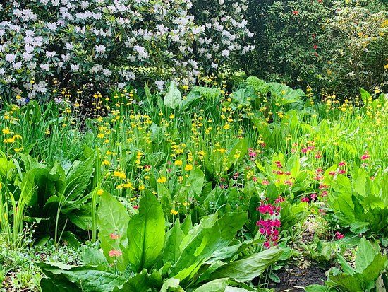 Clyne Valley Country Park