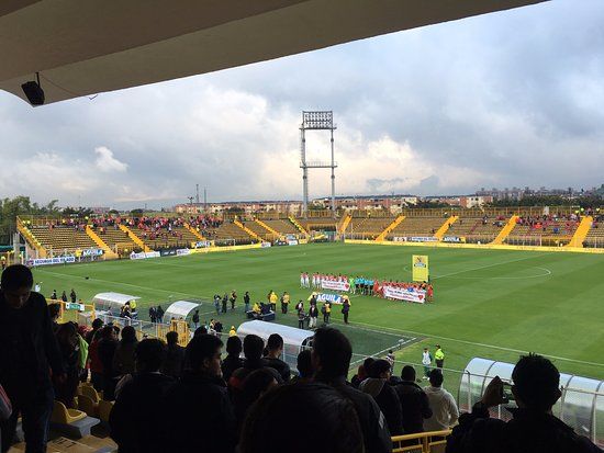 Estadio Metropolitano de Techo