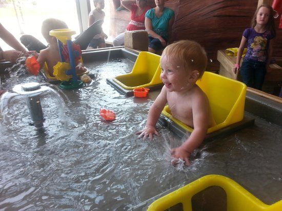 Museum of Natural Curiosity at Thanksgiving Point