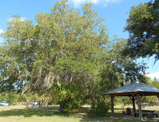 Tippecanoe II Mitigation Area