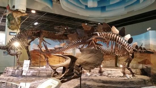 Gwacheon National Science Museum