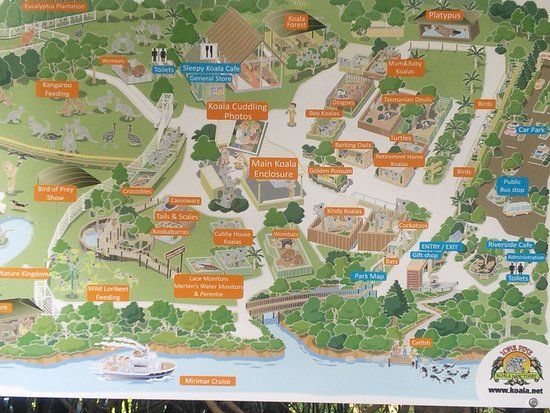 Lone Pine Koala Sanctuary