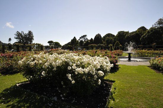 Wellington Botanic Garden
