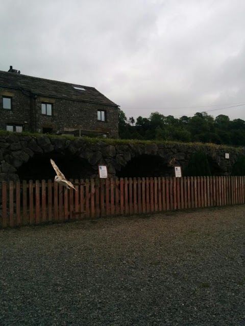 Yorkshire Dales Falconry and Conservation Centre