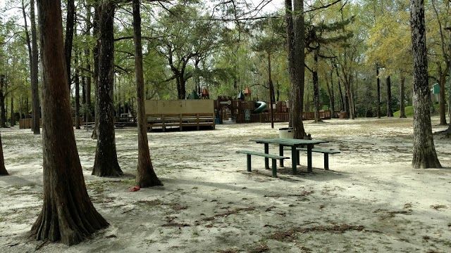 Bogue Falaya Wayside Park