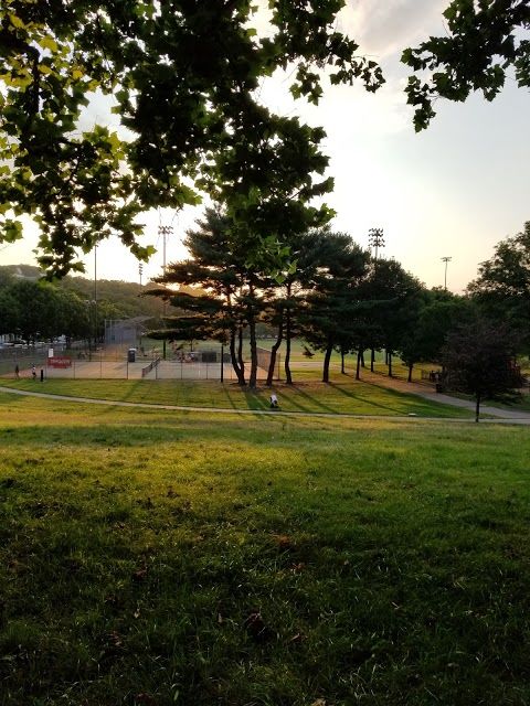Rogers Park