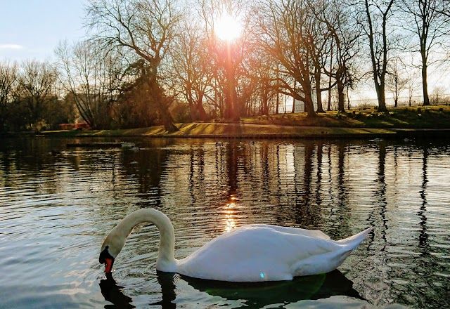 Greenbank Park