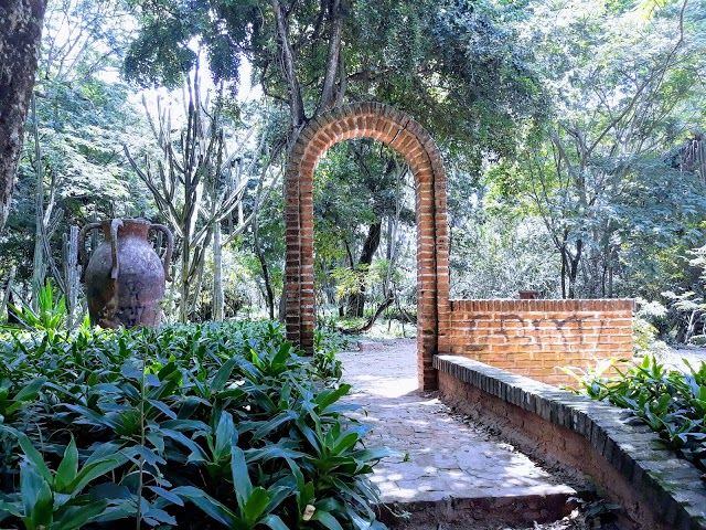 Municipal de Santa Cruz de la Sierra Botanical Garden