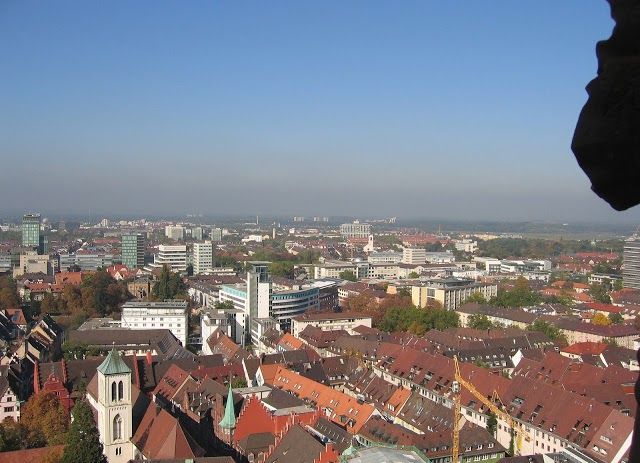 Freiburg Cathedral