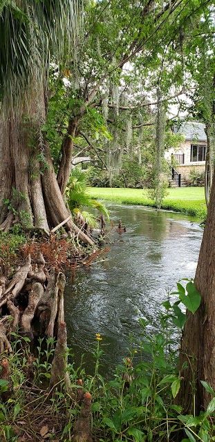 Mead Botanical Garden