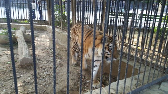 Zoopark
