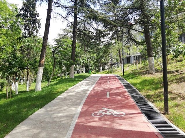 Vaso Godziashvili Garden