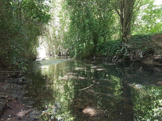 Wyken Croft Nature Park