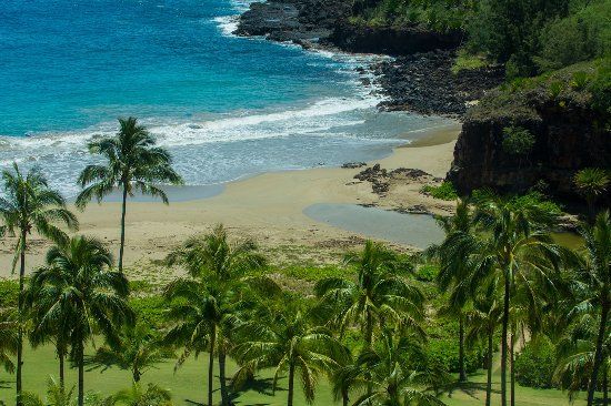Hawaiian Life Canoe Garden