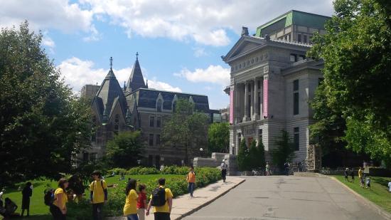 McGill University