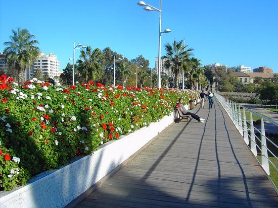 Puente de las Flores