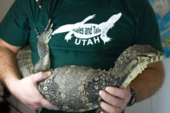 Scales and Tails Utah