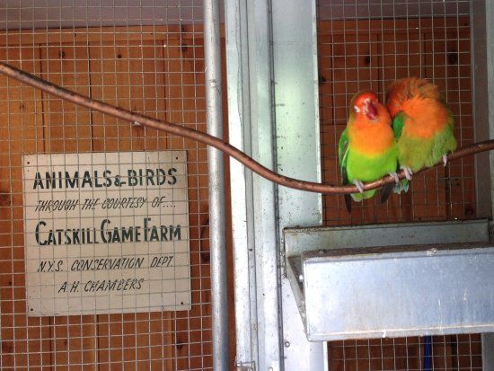 Forsyth Nature Center