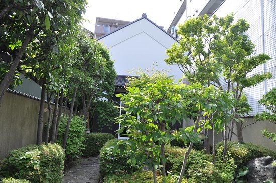 Senjujuku History Petit Terrace