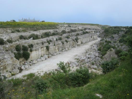 Broadcroft Quarry Nature Reserve