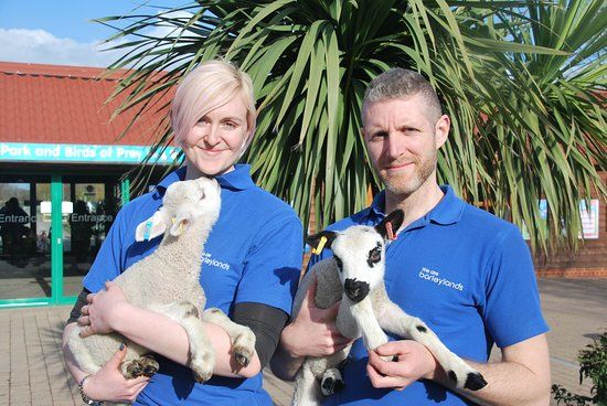 Barleylands Farm Park and Craft Village