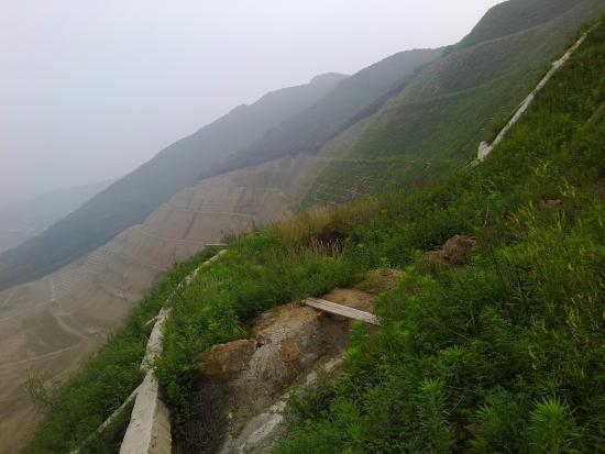 Dayangshan National Forest Park