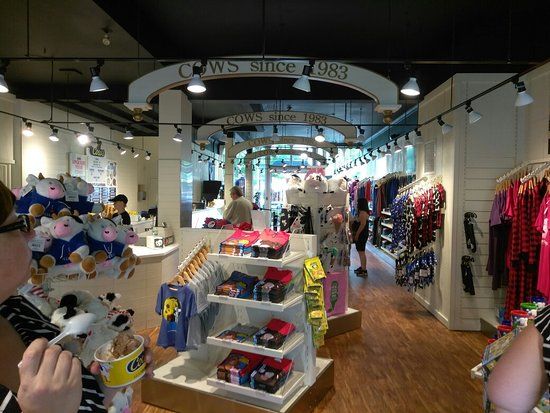 Cows Niagara On The Lake