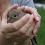 Kincaid's Dining Room & Lounge