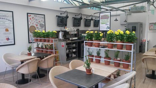 Wyevale Garden Centre