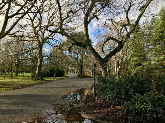 Ormeau Park