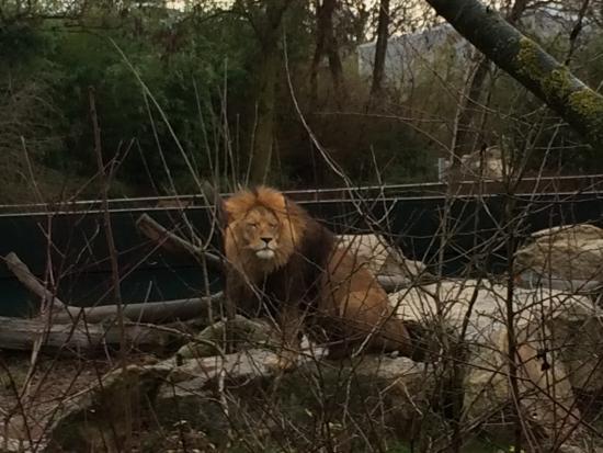 Zoologische Staatssammlung Munchen