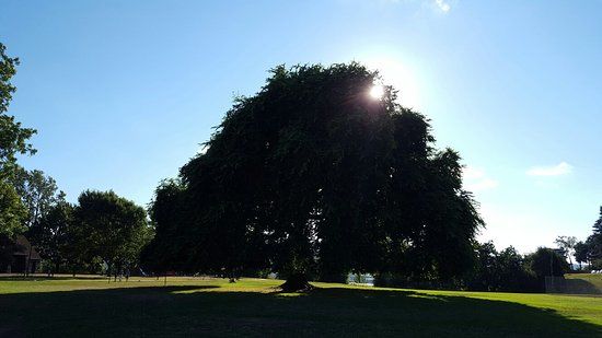 Overlook Park