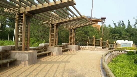 Grand Canal Forest Park