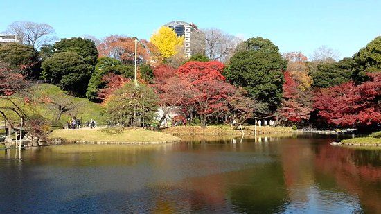 Koishikawa Botanical Gardens