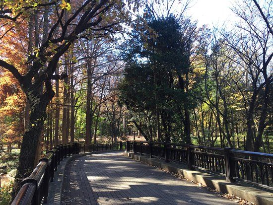 Rinshinomori Park