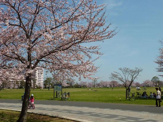 Ojima-park in Komatsugawa