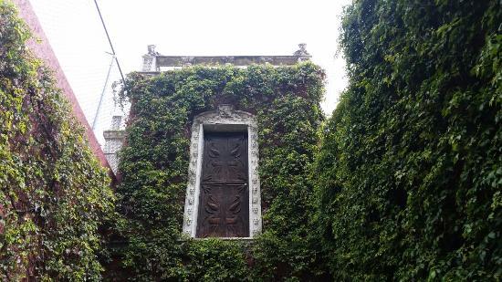 Casa de Tia Aura