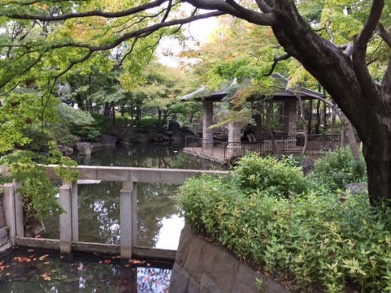 Mabashi Park