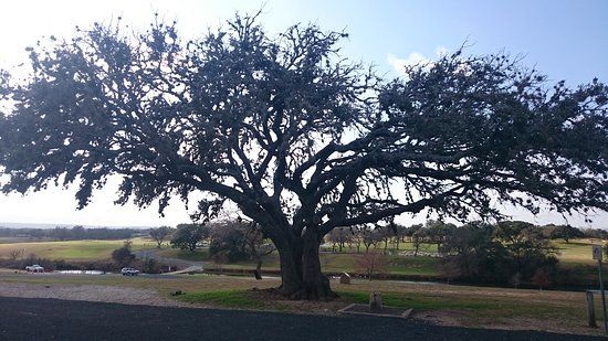 Lady Bird Johnson Municipal Park