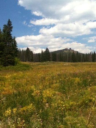 Routt National Forest