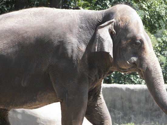 BREC's Baton Rouge Zoo