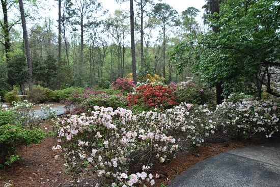 Mobile Botanical Gardens