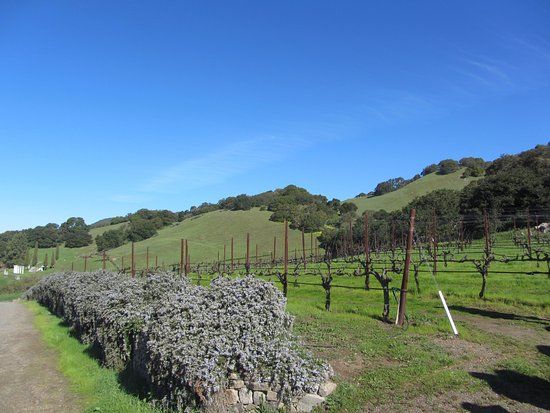 Sonoma Valley