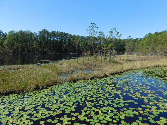 Sergeant Jasper Park