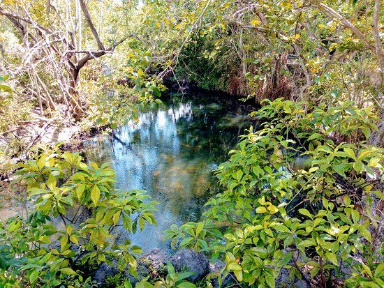 Arch Creek Park and Museum