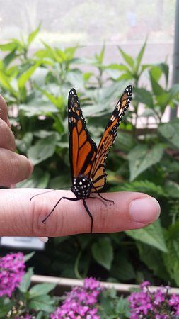 Beech Creek Botanical Garden and Nature Preserve