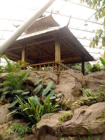 Nanjing Botanical Garden