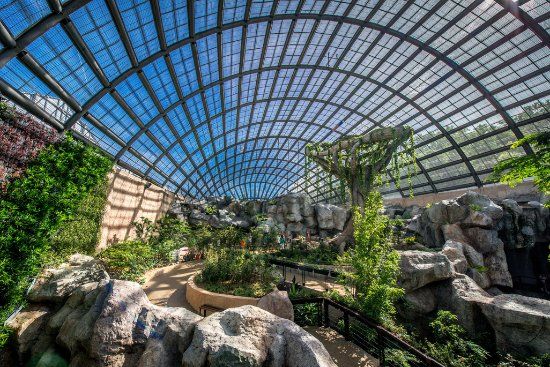 Entopia by Penang Butterfly Farm