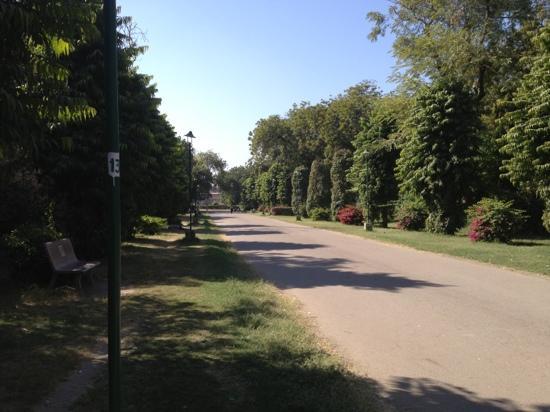 Umed Garden