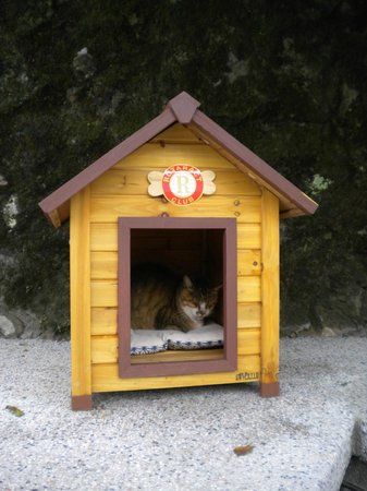 Houtong Cat Village